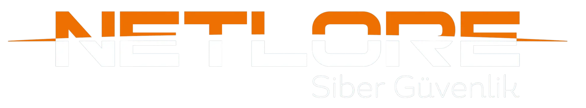 Netlore Security